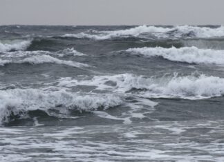 “Adriatico resiliente ai cambiamenti della biodiversità”: lezione alla Casa Matha di Ravenna