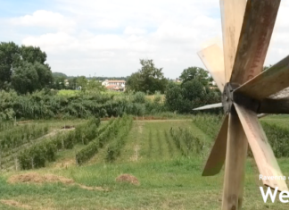 A Tebano “Acque e miracoli”, anteprima dell’Arena delle Balle di Paglia