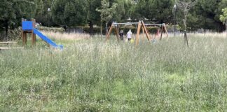 La Pigna: “Situazione del verde pubblico fuori controllo mentre il Pd pensa solo a mantenere lo status quo”