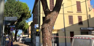 “Si alla salute e al benessere nelle città, sì alla tutela degli alberi” presidio di cittadini in via Maggiore a Ravenna