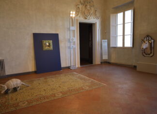 Dusciana Bravura. Le metamorfosi degli oggetti e delle immagini, ultimi giorni per visitare la rassegna a palazzo Rasponi dalle Teste