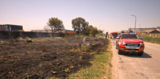 Violento incendio di sterpaglie in via Classicana. Domato dai Vigili del Fuoco