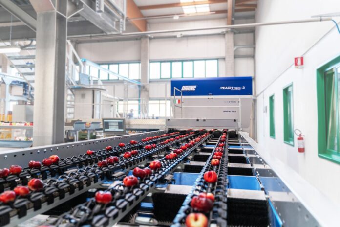 Agrintesa, il nuovo stabilimento di Bagnacavallo_1