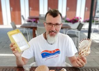 Festival Naturae a Lido di Classe, torna Conchigliamo Summer Lab