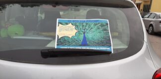 Sabbia, mare, piadina e.. pavoni! I pavoni di Punta Marina, un tesoro da tutelare