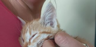 Enpa Lugo: Mercoledì 24 luglio ritorna la Serata delle Coccole