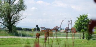 Barbiano: “Aperiplasma” al parco con Avis per incentivare la donazione