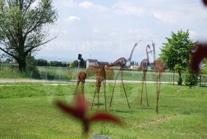 Il parco Conti a Barbiano (1)