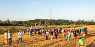 Cotignola: Raccolta delle balle di paglia per costruire l’Arena