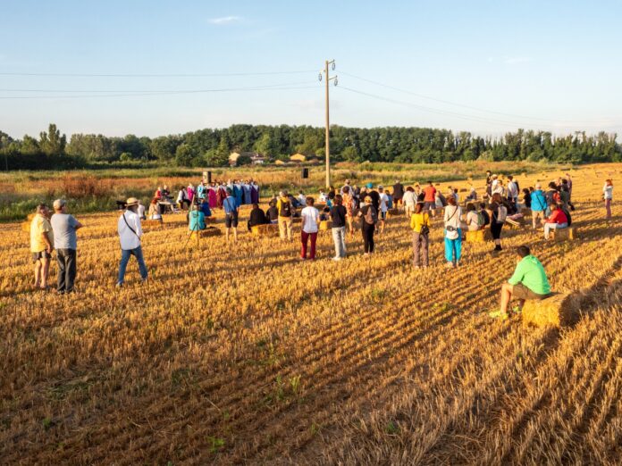 La raccolta delle balle (3)