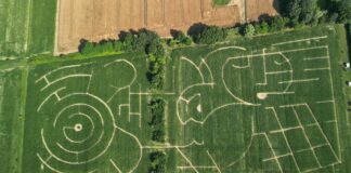 Il Labirinto Effimero di Alfonsine celebra i 100 anni dell’Azienda Galassi