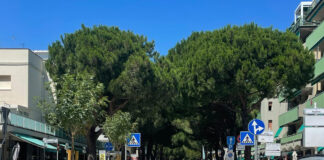 Lido di Savio: il Comune istituisce il divieto di transito e di sosta dove dovevano essere abbattuti gli alberi