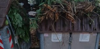 Ferrero (FdI): “Incrementare la raccolta dei rifiuti al mare”