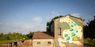 Sulle orme di Byron: lungo il Montone a ‘cavallo’ della bicicletta da Ravenna a Filetto