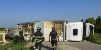 ANAS: “A causa di un veicolo pesante ribaltato, temporaneamente chiusa l’Adriatica ad Alfonsine”