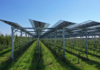 Question time Dalfiume (PD): “Fare chiarezza sul progetto agrifotovoltaico nel ravennate”