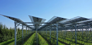 Question time Dalfiume (PD): “Fare chiarezza sul progetto agrifotovoltaico nel ravennate”