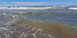 Allarme mucillagine nell’Adriatico: pesanti danni alla pesca