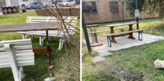 Degrado ambientale e sociale nel parco di via Spadolini in zona Darsena