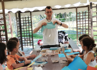 Doppio appuntamento con il “Conchigliamo Summer Lab”: incontri a Punta Marina e Marina Romea