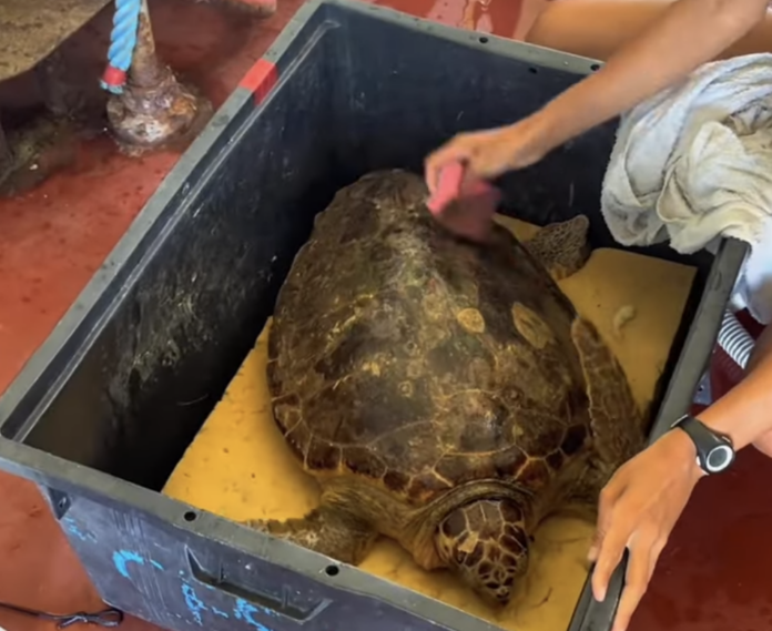 Screenshot 2024-07-22 alle 16.13.59