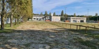 Elena Marin (Consiglio territoriale del Mare): Marina di Ravenna, triste storia dell’area camper, e non solo