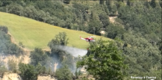 A fuoco un terreno a Monte Mauro al confine con un bosco