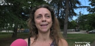 Il mistero dei tanti gatti rapiti nel ravennate. I padroni presentano un esposto in Procura