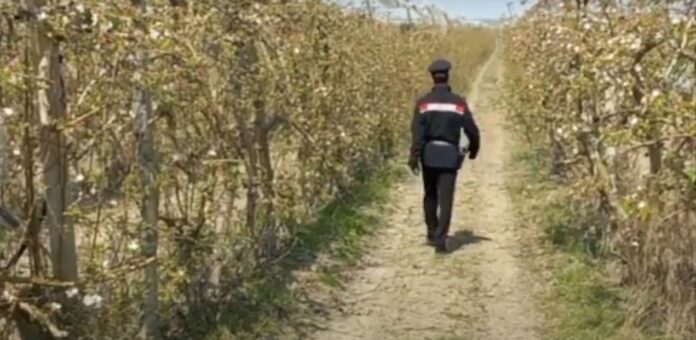 photo_2024-07-05_22-20-57