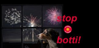 Ravenna In Comune: “Botti: l’Amministrazione è sorda”