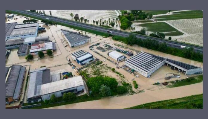 photo_2024-07-25_08-10-47