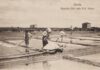 Al museo del sale di Cervia una mostra dedicata alle saline d’Italia