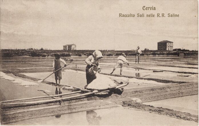 1. 1908.Cervia. Raccolta sali nelle R.R. saline_