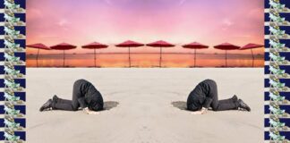 Ravenna in Comune: Bolkestein, la simpatia è solo un’illusione