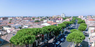 Pini a Ravenna e Lido di Savio: Assessore Gallonetto, i “tavoli” ora non servono