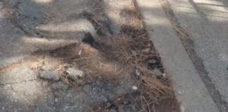 Ferrero (FdI): “Mettiamo in sicurezza via Doberdò”