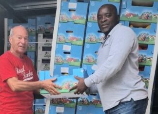 Terzo Mondo ODV: donazione di frutta e verdura grazie ad Agritalia