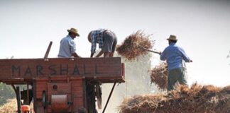 La festa del grano proseguirà fino al 26 agosto