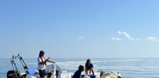 RCCP e CESTHA liberano in mare la tartaruga marina Bobo