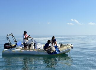 RCCP e CESTHA liberano in mare la tartaruga marina Bobo