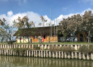 Nel 2025 gli 80 anni della Liberazione: dalla Regione 400mila euro per 59 progetti di valorizzazione della storia