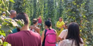 Giornata dei Luppoleti Aperti: un’occasione per vivere il luppolo a 360°