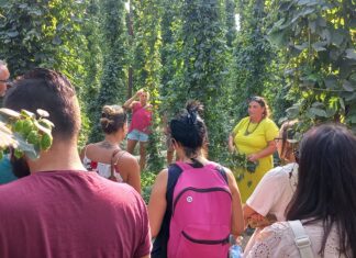 Giornata dei Luppoleti Aperti: un’occasione per vivere il luppolo a 360°