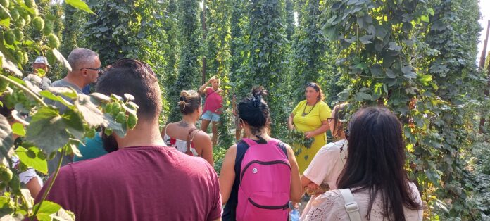 Luppoleti Aperti racconti