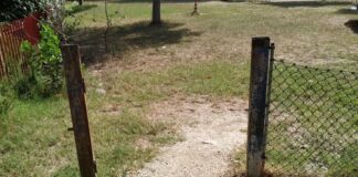 Esposito (FdI): “Incuria e degrado al parco Mani fiorite”