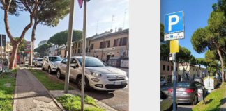 Ancisi (LpRa): “Via Maggiore, porre in sicurezza i pini esistenti e ripiantumare gli alberi perduti nelle aiuole vuote”