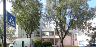 Vitali (Pdf): “Segnaletica orizzontale sbiadita: attraversamenti pedonali pericolosi”