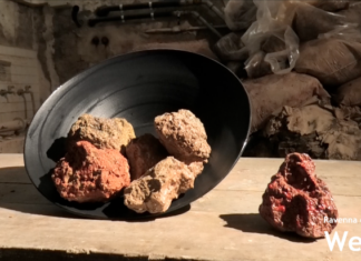 Al Museo Zauli le “Immersioni” di Patrizio Bartoloni nei giorni di Argillà