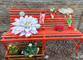 Trail Romagna: “Una passeggiata per Elisa” in memoria di Elisa Bravi