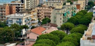 “Salviamo i pini storici di Lido di Savio”, “Salviamo i pini storici di via Maggiore”